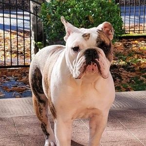 Meet your Posher, Colleen